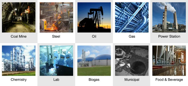 High-End Multi-Gas Detector, H2s So2 Detector with High Resolution Color Display
