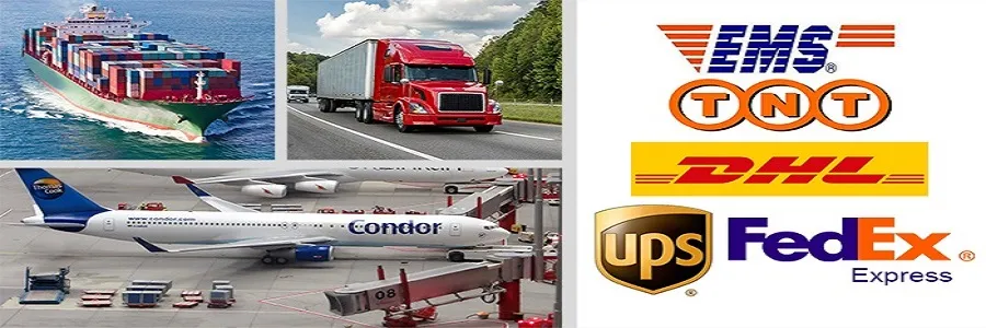 Testing Equipment Digital Torque Wrench Calibrator